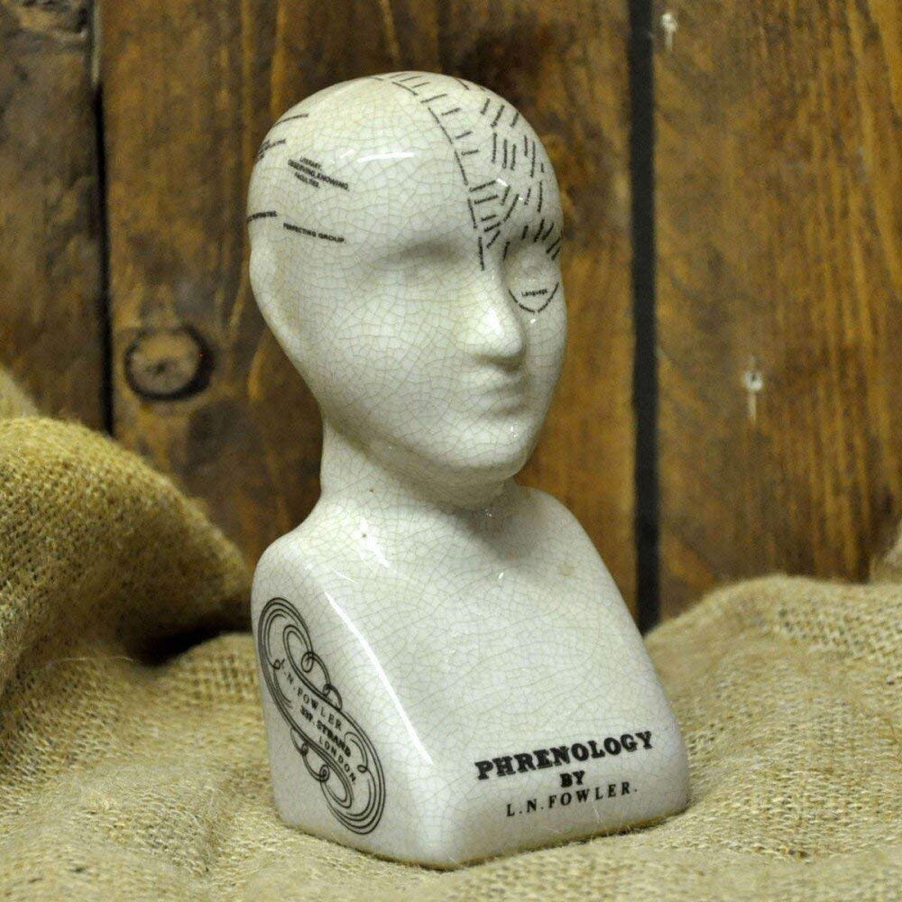 Geko Ceramic Phrenology Head 17cm