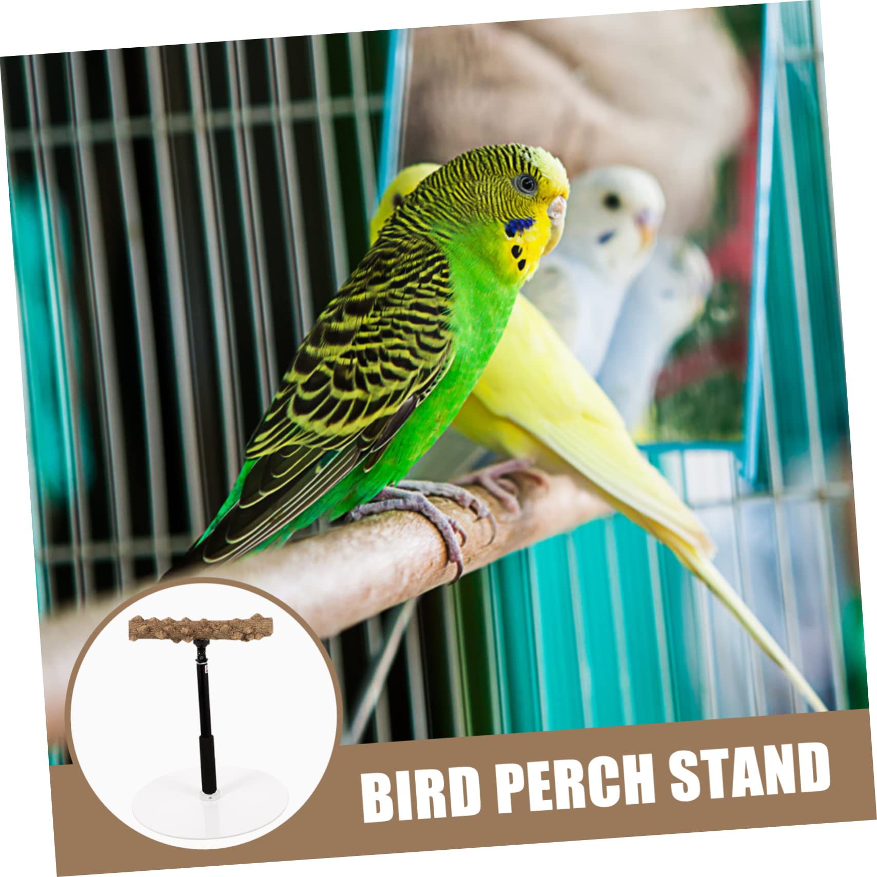 Percha Ajustable de Altura para Loros y Aves, Soporte Metálico | Base Estable, Superficies Rugosas, para Entrenamiento y Observación de Aves Cantando