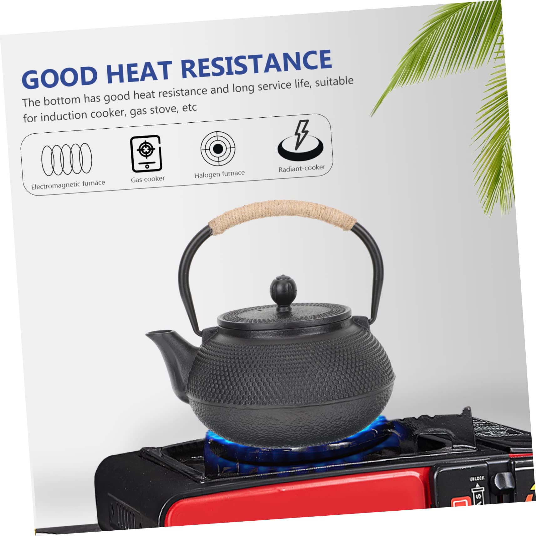 Tetera de Hierro Fundido Tetsubin Negra de 800ml para Té | Infusor, Asa Cómoda, Limpieza Sencilla Retención Térmica, Uso Doméstico, Acabado Tallado