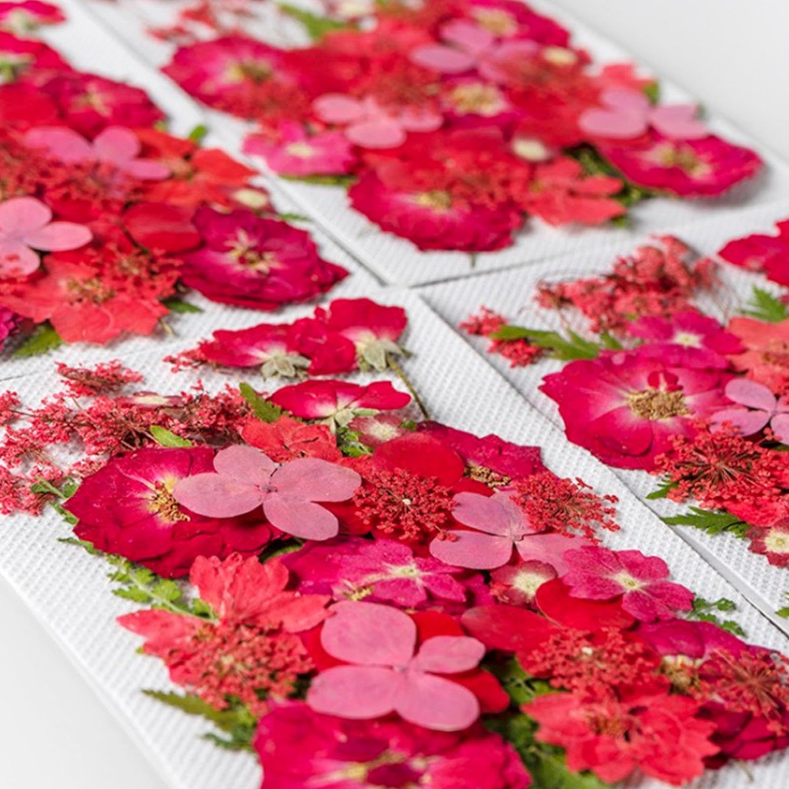 Amazon.co.jp: SAEYZ ドライフラワー 枯れない花 35 枚 永遠の花