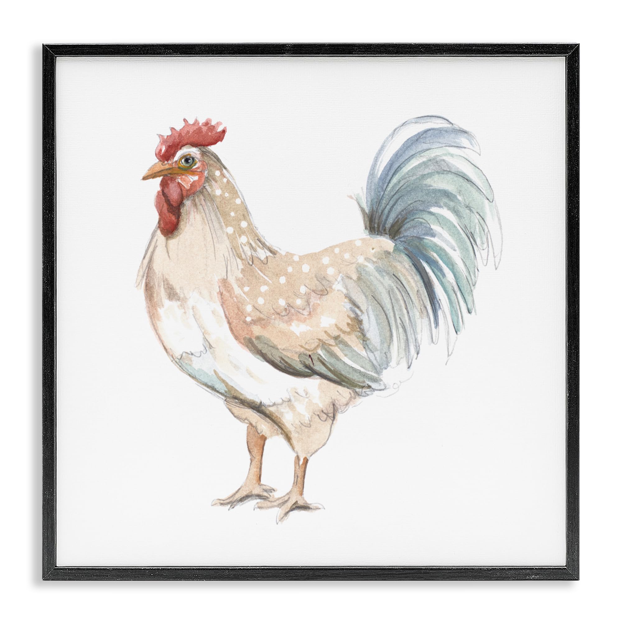 Stupell Industries 'Watercolor Rooster Sketch', Framed Giclee Art, Black, 24 x 24