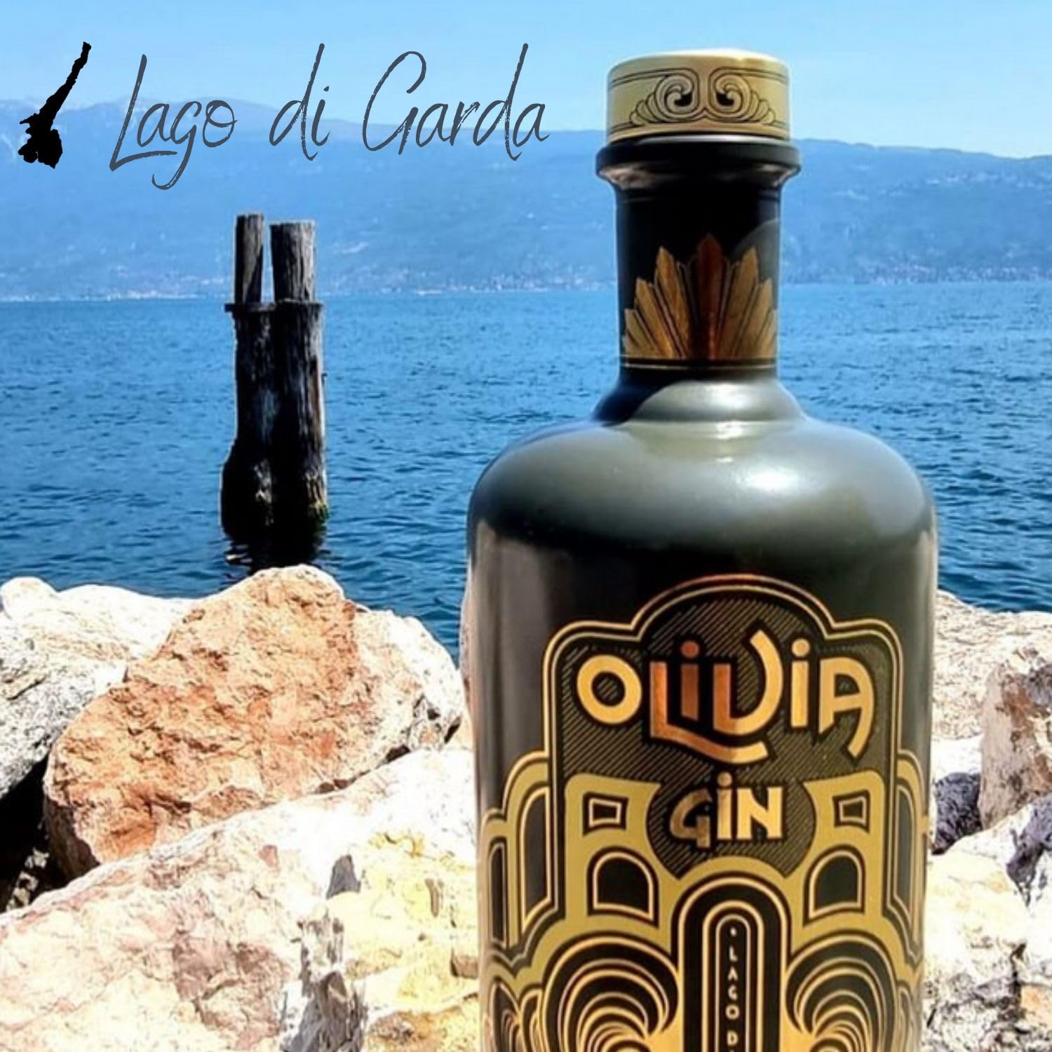 Gin - Olivia Lago di Garda – Premium 700ml da Distillazione Foglie e Corteccia di Olivo e Polpa di Olive – 42% Vol – Made in Italy – Prodotto Artigianale – Gin Tonic