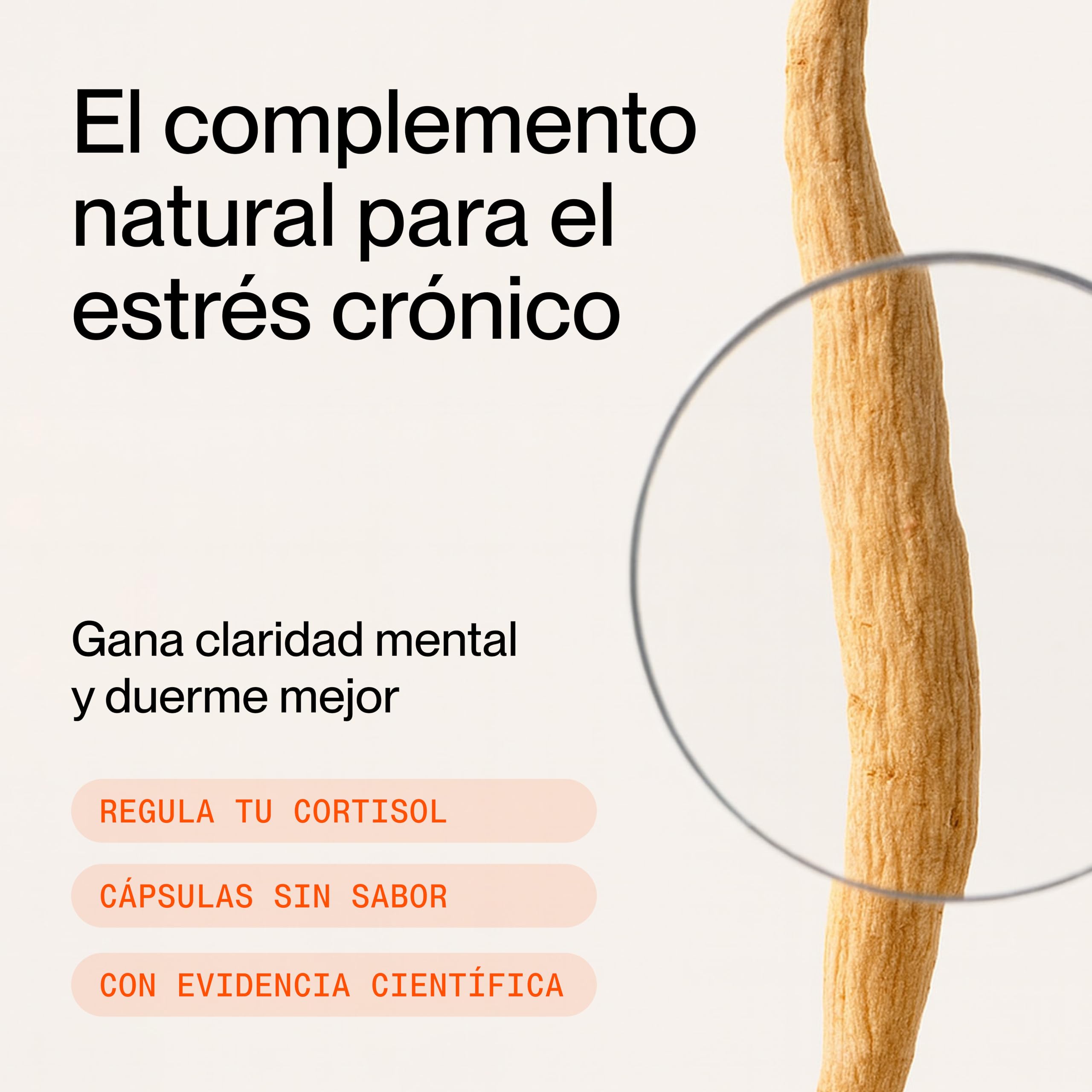 Superlativa Daily Electra Ashwagandha Sensoril® 250 mg – Fórmula Premium con Bacopa y Schisandra – Regula el Cortisol y Mejora el Sueño – 60 Cápsulas Veganas