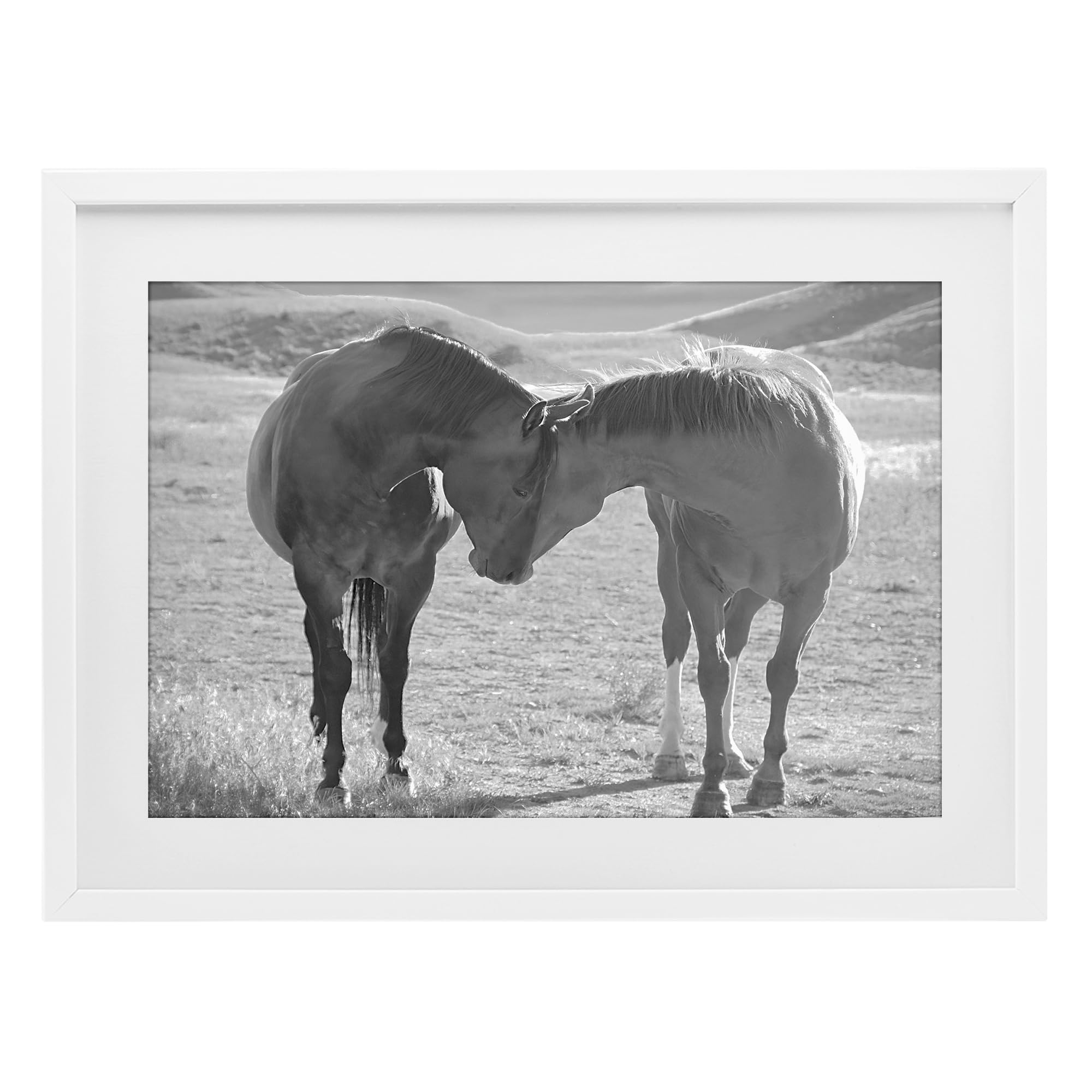 'Sweet Nothings Bond Between Horses'| Framed Print Under Glass