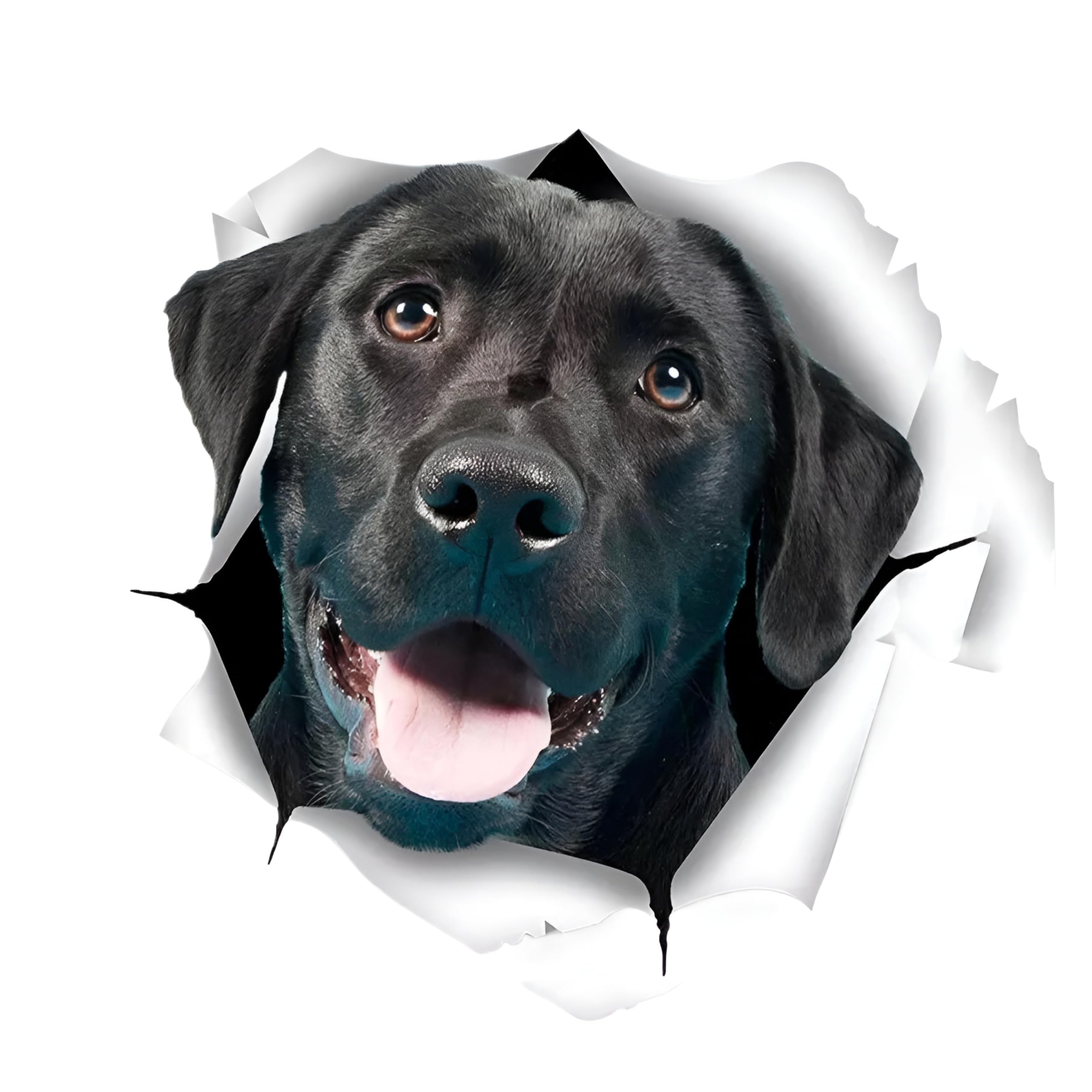 Französische Bulldogge Aufkleber, 3D Zerrissener Effekt, Was