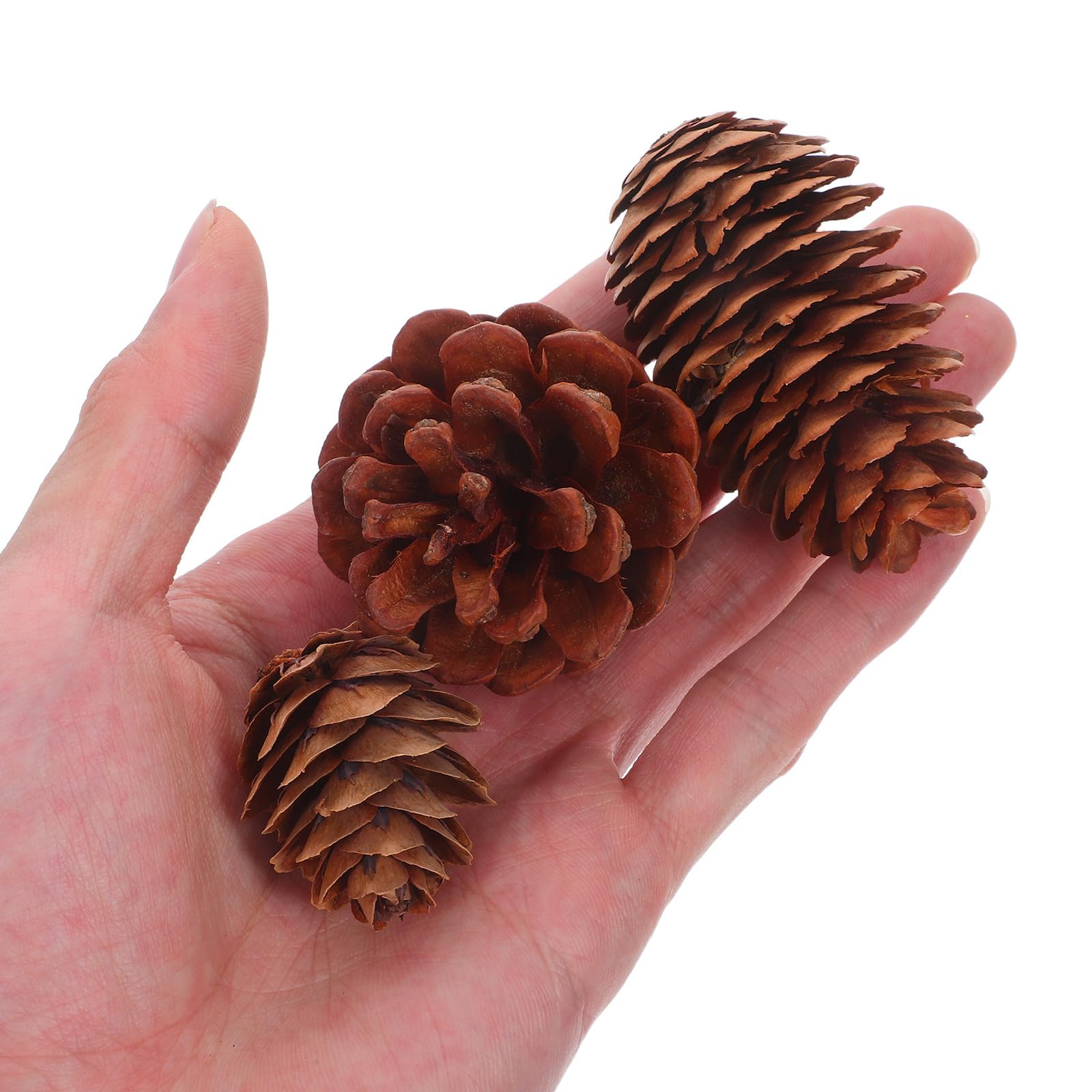 INOOMP 120 piñas para Manualidades: piñas en Miniatura para Decorar Fiestas navideñas y Coronas navideñas.