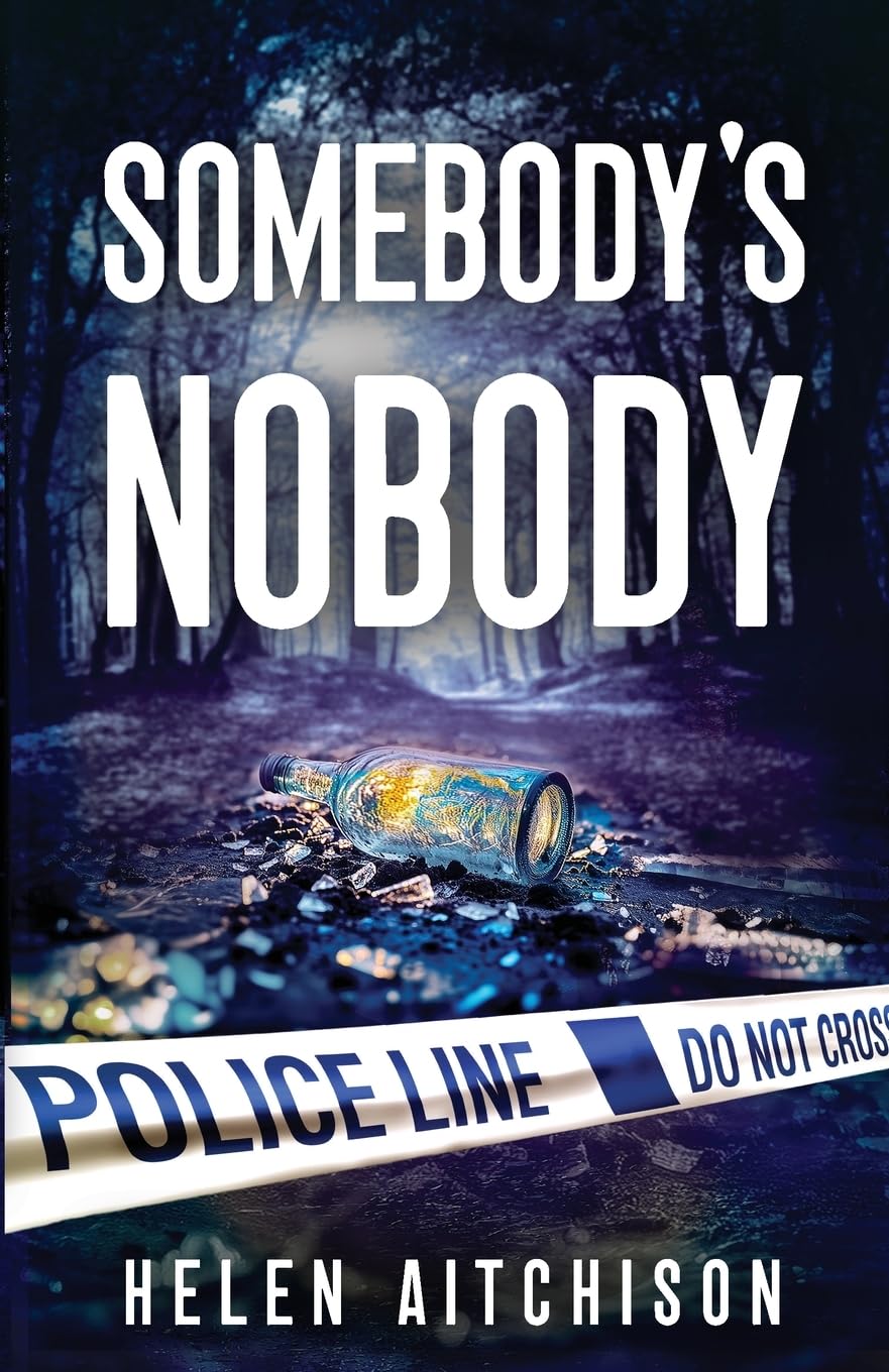 Somebody's Nobody: Book 1 (Ericson and McCardle),Aitchison, Hele