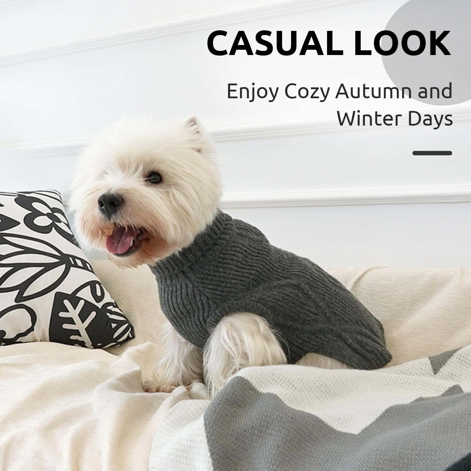 Queenmore Hundepullover mittelgroße Hunde, warm und bequem, Stretch Strickpullover für Dackel, Bichon Frisé, Mops, Jack Russell Terrier, Greyhound, Boston Terrier (Grau, M)