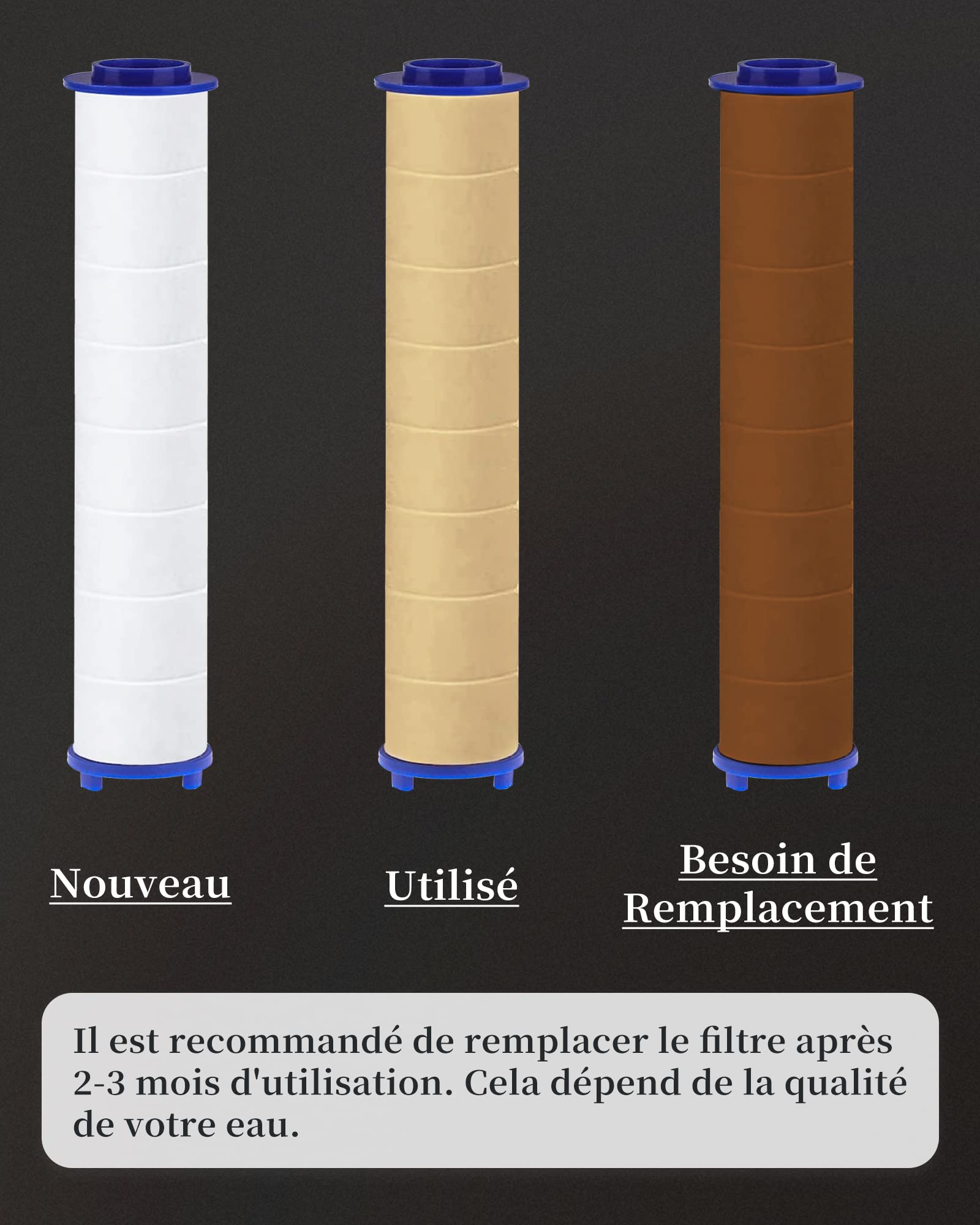 Pommeau De Douche À Filtre À 4 Fonctions Réglable Sous Pression Avec