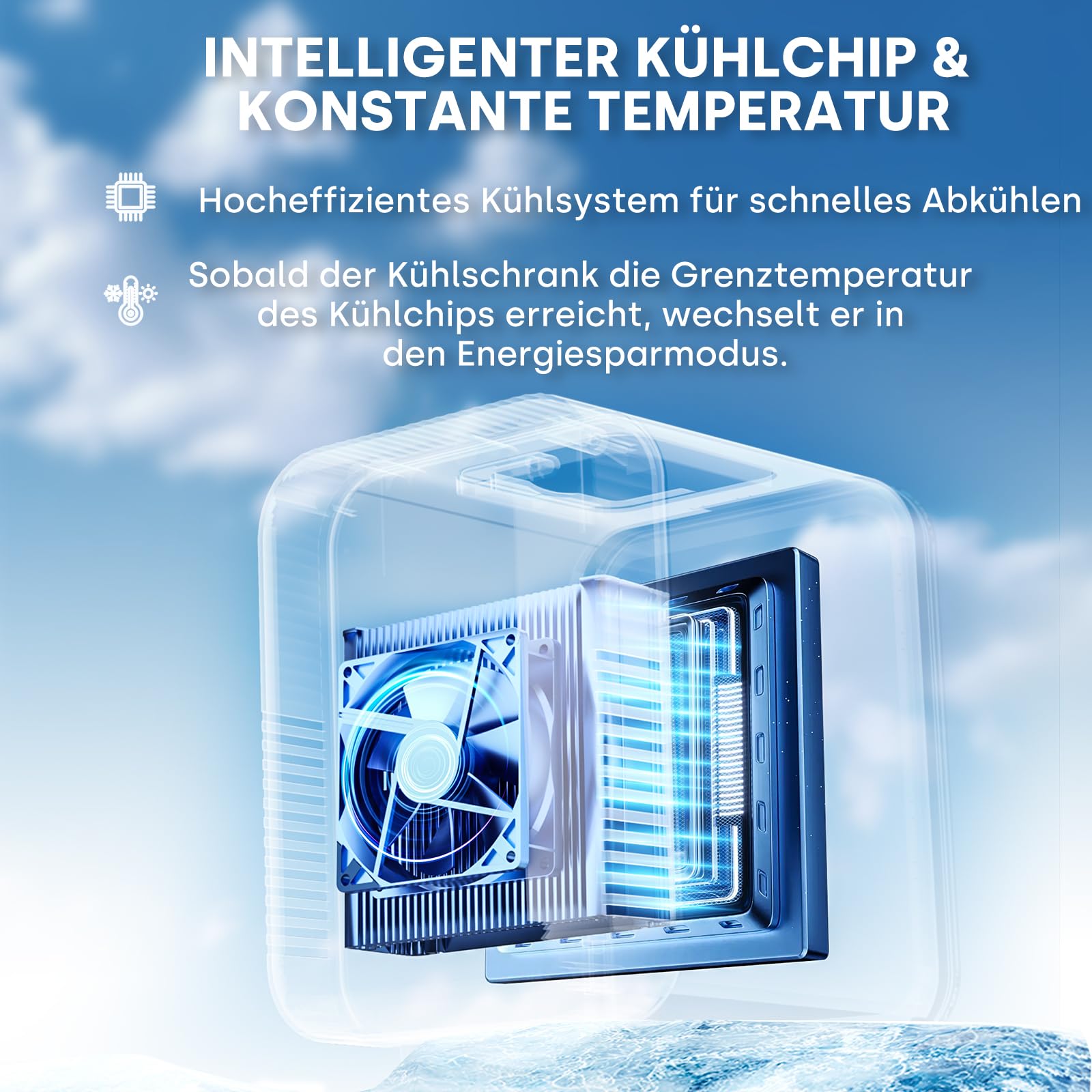 Enventor Mini Kühlschrank 4L 6 Dosen 12V/220V Kühl- und Heizfunktion Leise für Auto Schlafzimmer Büro Schwarz