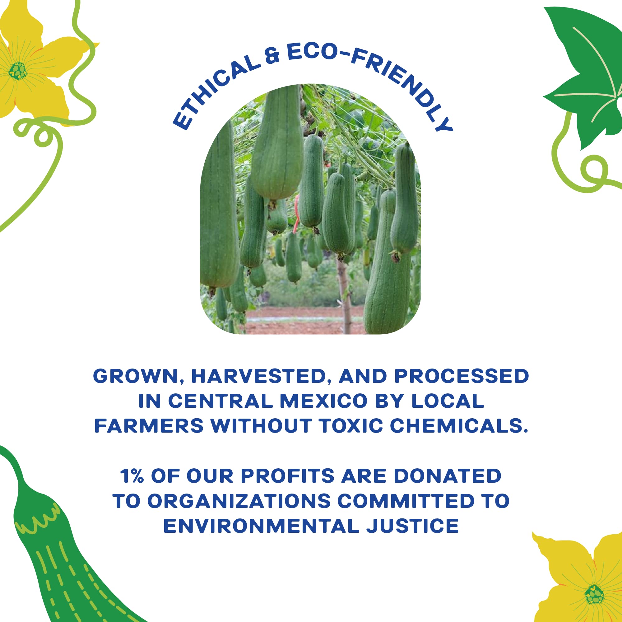 Esponja de cocina natural de lufa (paquete de 3) - Esponjas ecológicas - Esponjas naturales para platos - Esponjas compostables - Esponjas biodegradables para cocina - Esponja de cocina a base de