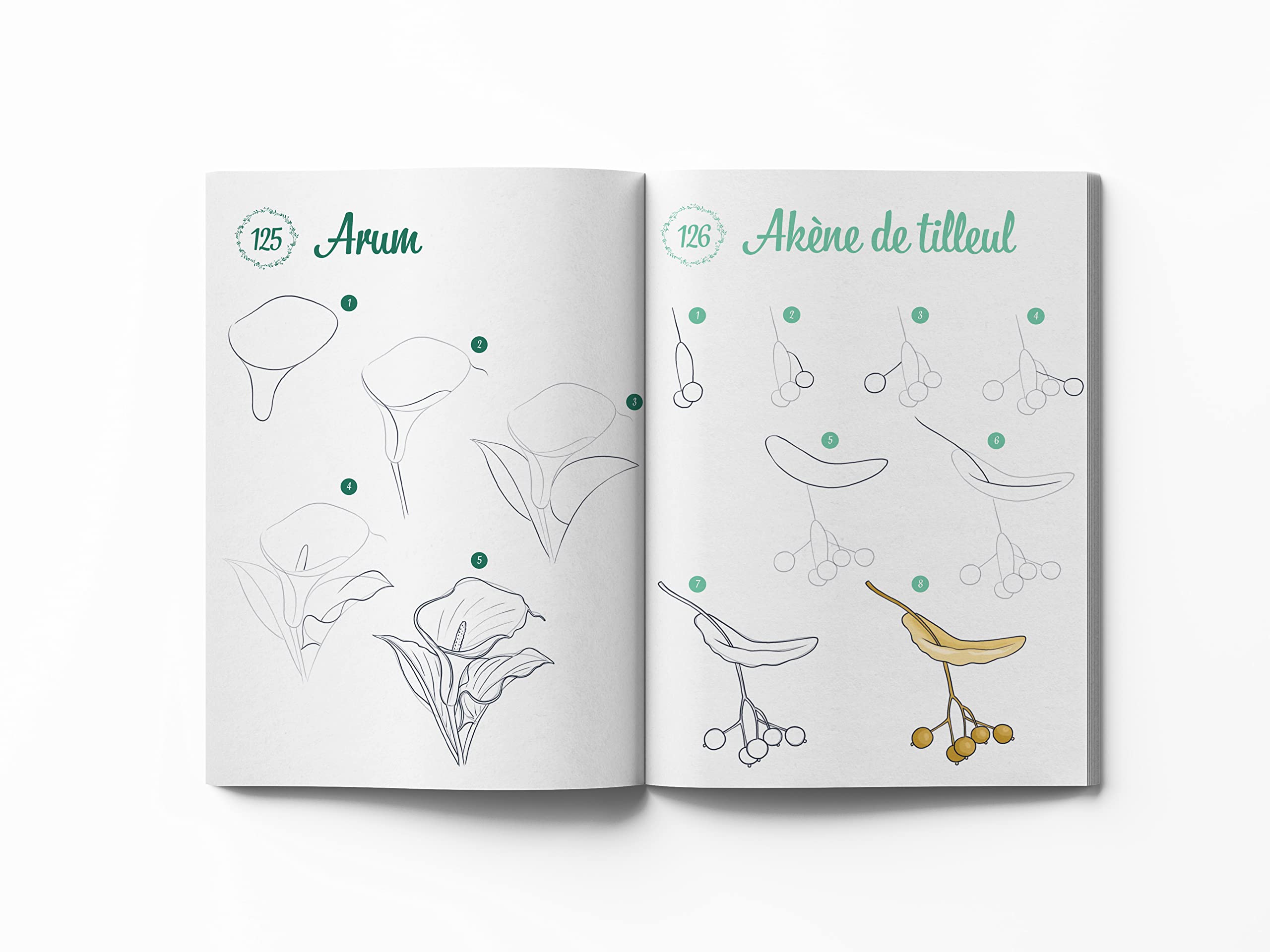 300 mod�les � dessiner en pas � pas Sp�cial nature - Dessins �tape par �tape Herzog, Lise - PT03