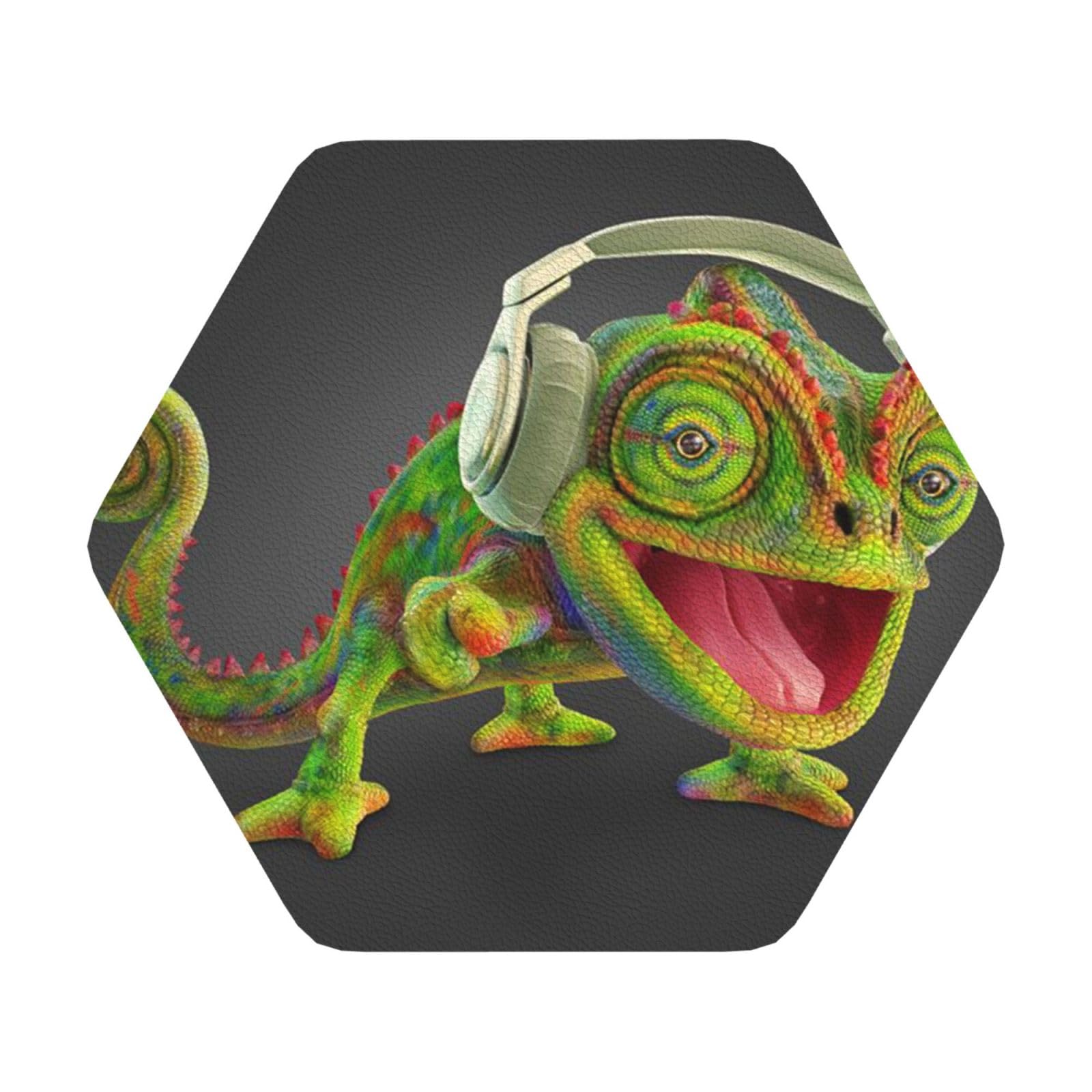 Chameleon listen music PU Leather Coasters Set of 6 Hexagon Drink Coasters