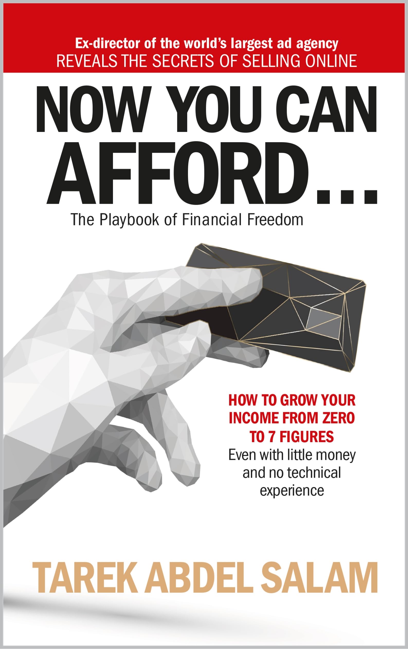 NOW YOU CAN AFFORD: HOW TO GROW YOUR INCOME FROM ZERO TO 7 FIGURES... Even with little money and no technical experience! (Online Business Series)