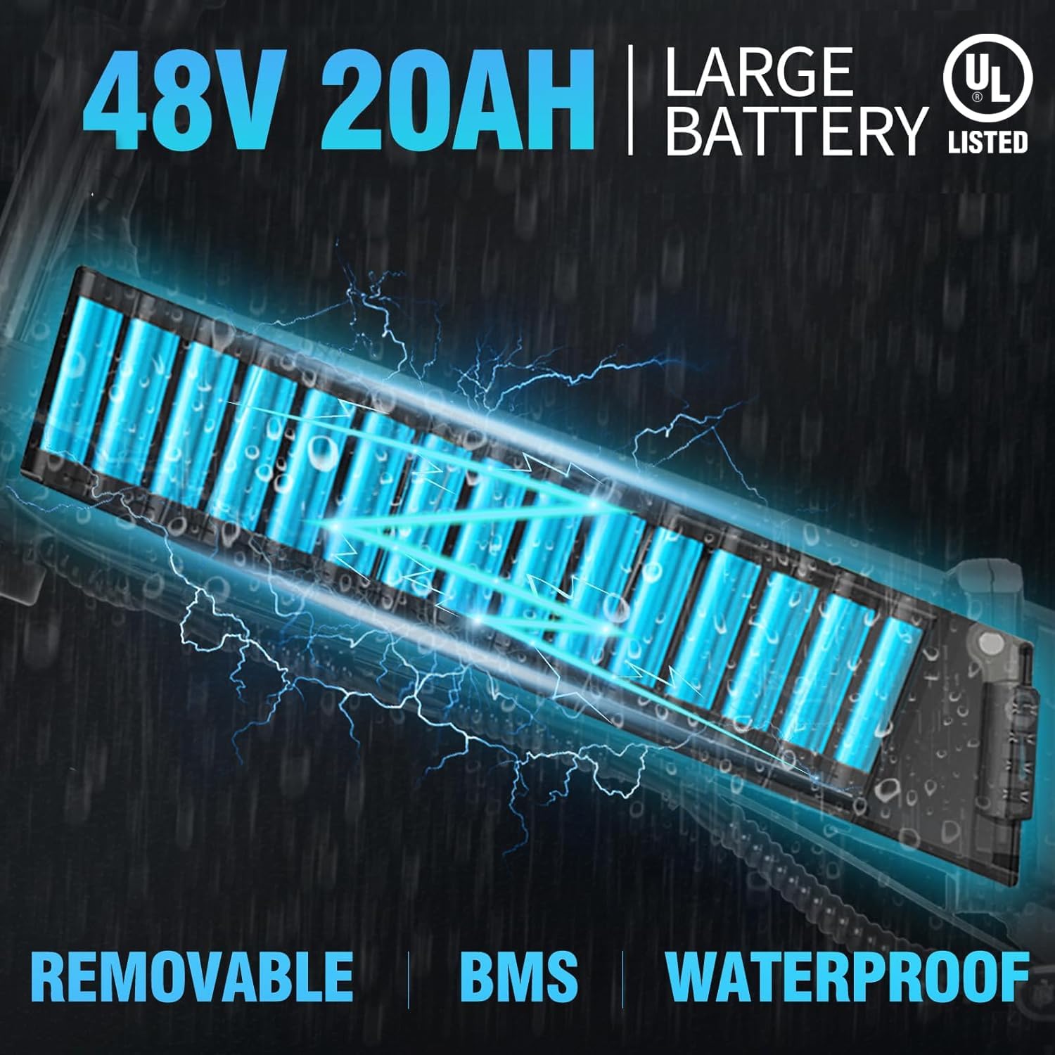 48V 20AH Large Removable Battery