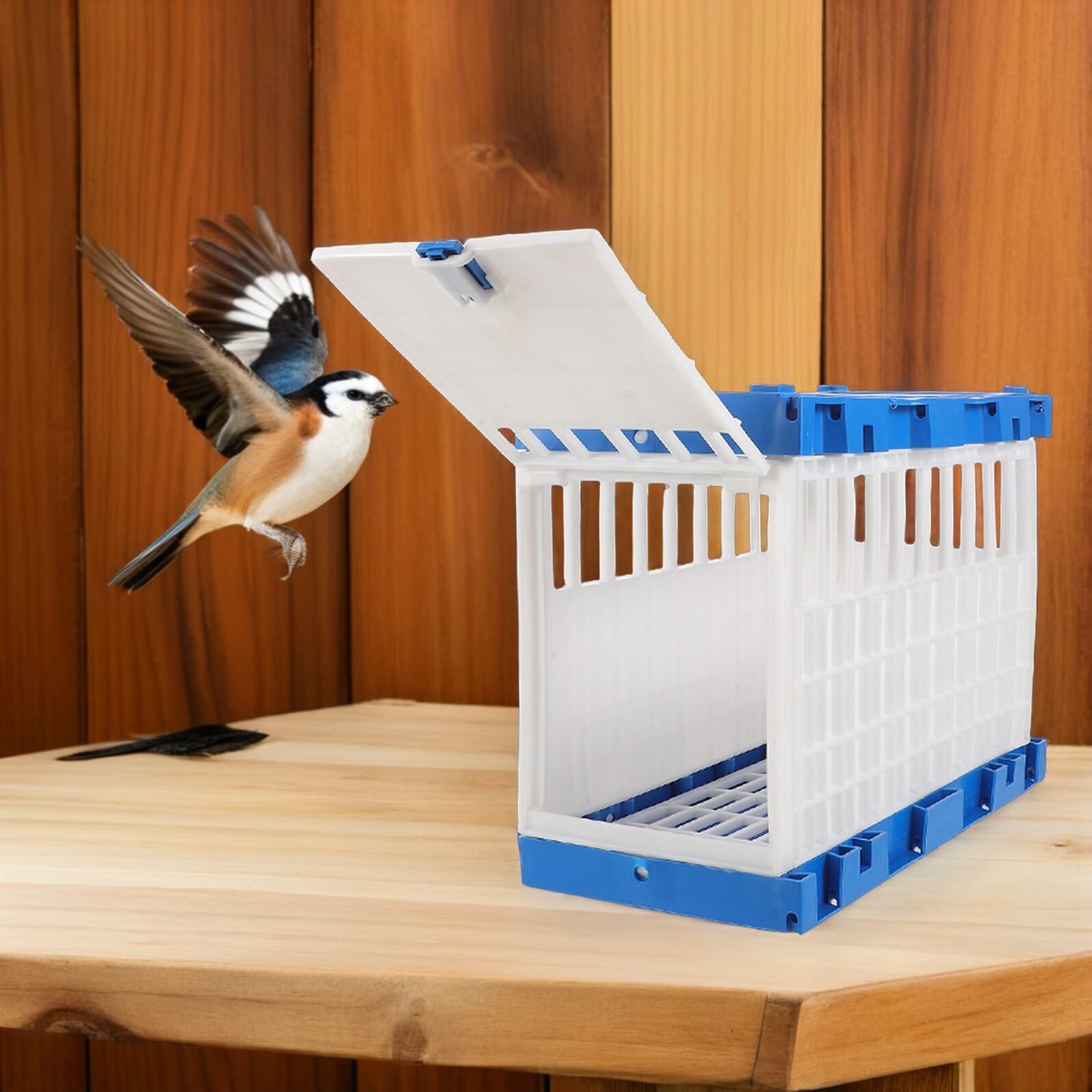 Abaodam Jaula Portátil para Palomas de Carreras Puerta Lateral Abatible Cesta de Plástico Ligera 32X165X245 CM para Entrenamiento Transporte y Liberación Segura Exteriores