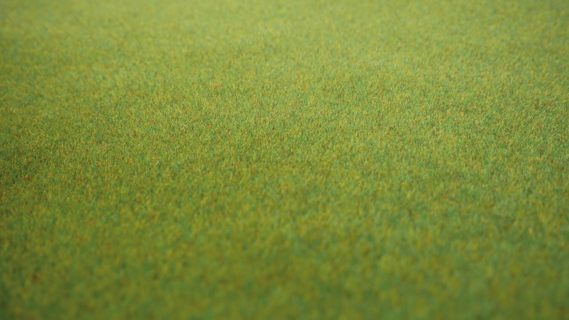 Tappeto erboso Primavera 200x120 cm Ho-TT