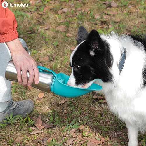Miniatura 2 de LumoLeaf Botella de agua portátil para perros de 27 onzas, dispensador de botellas de agua de viaje de acero inoxidable para caminar, senderismo y
