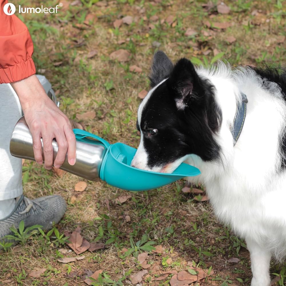 食器・餌やり・水やり用品 NEIGHBORHOOD DOG TRAVEL BOTTLE Springer Dog Water Bottle | Portable Travel Water Bottle