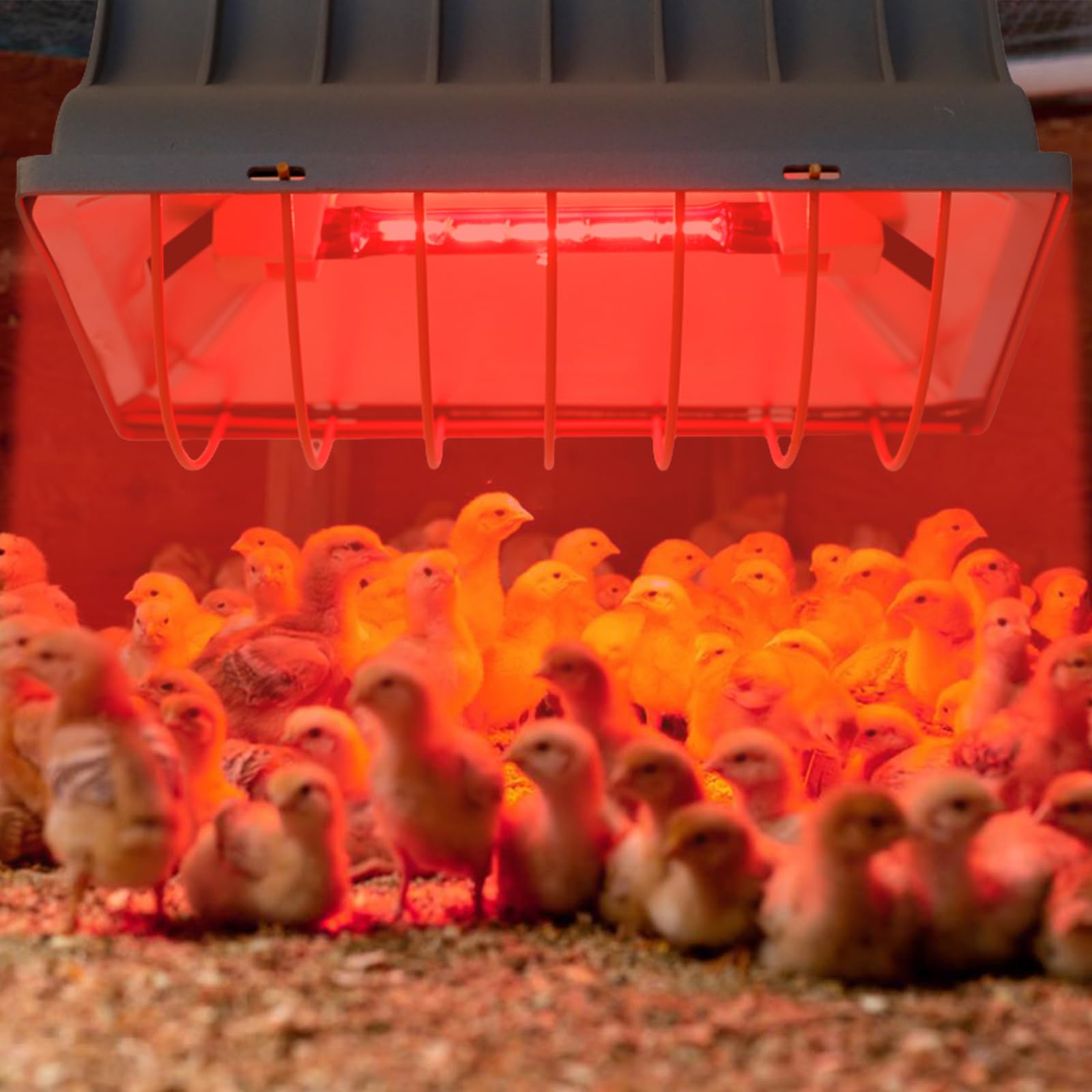 Piastra Riscaldante Per Pulcini Regolabile 45-70°C, Altezza Variabile, Rotazione 360°, Per Pollaio E Animali Piccoli – Risparmio Energetico