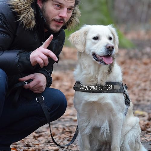 Miniatura 7 de Balacoo Chaleco reflector, parche de animal de apoyo emocional 2 pares de parches reflectantes para perros de perro, arnés extraíble para perros