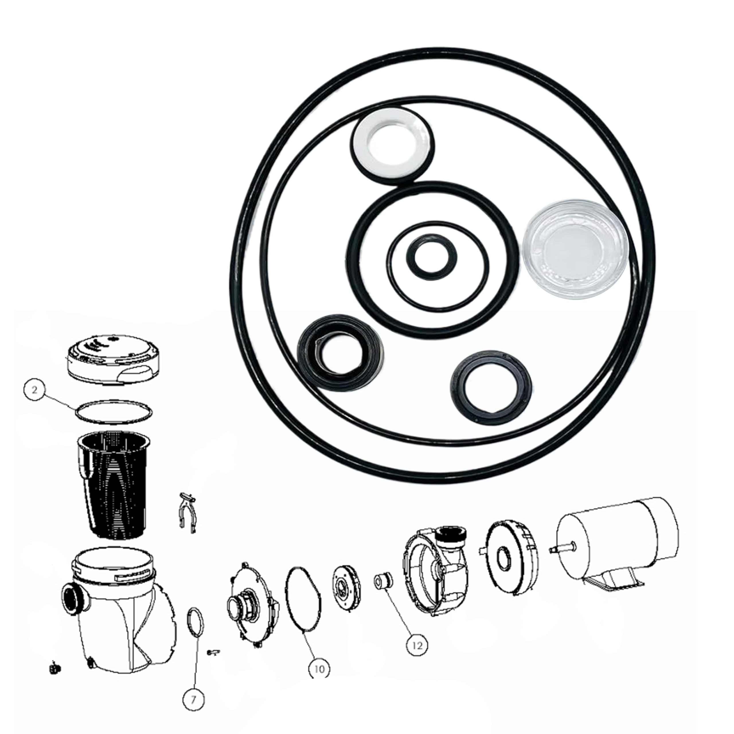 Hayward Power-Flo Matrix Pool Pump Seal Repair Kit - Shaft Seal & O-Ring Replacement Set