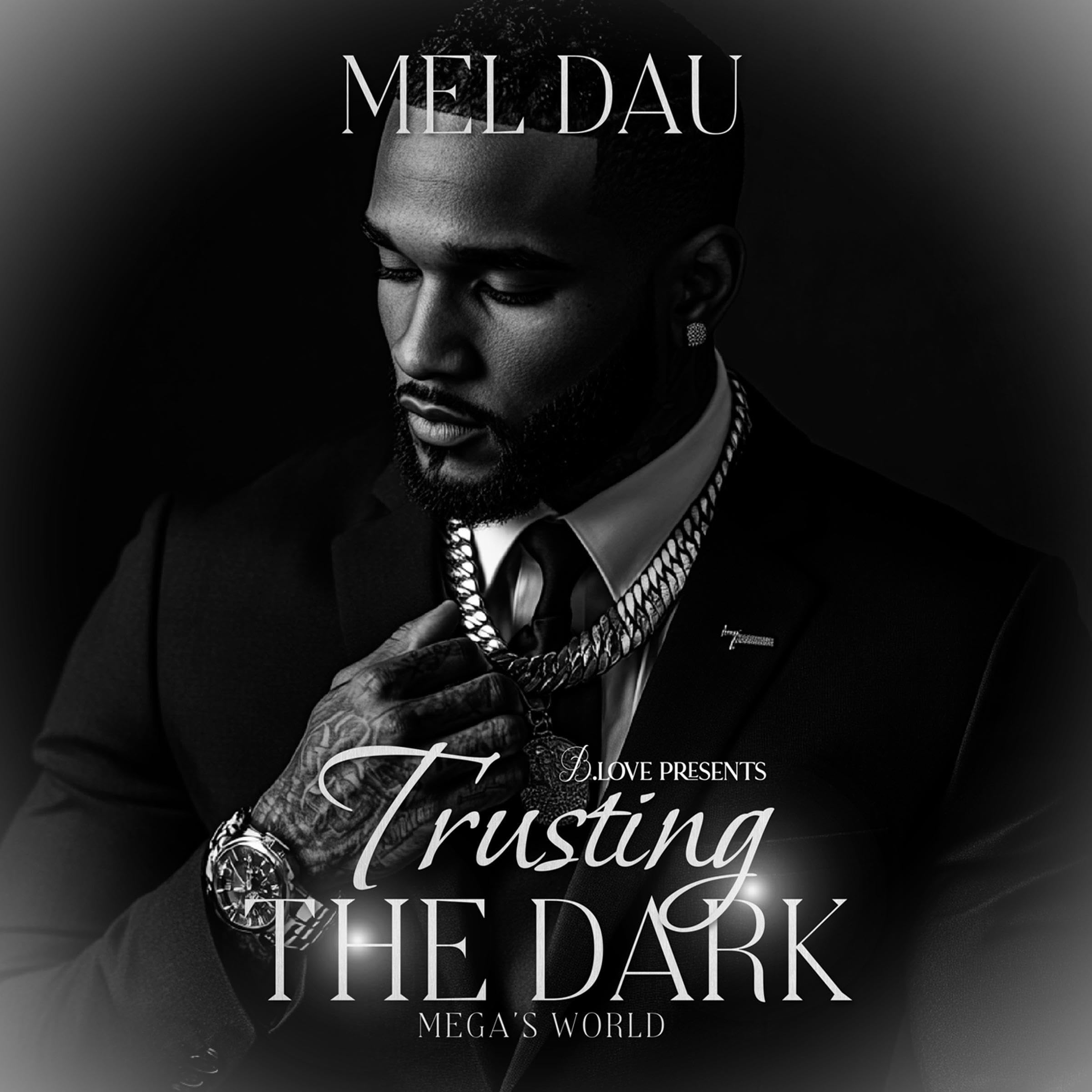 Cover art for Trusting the Dark