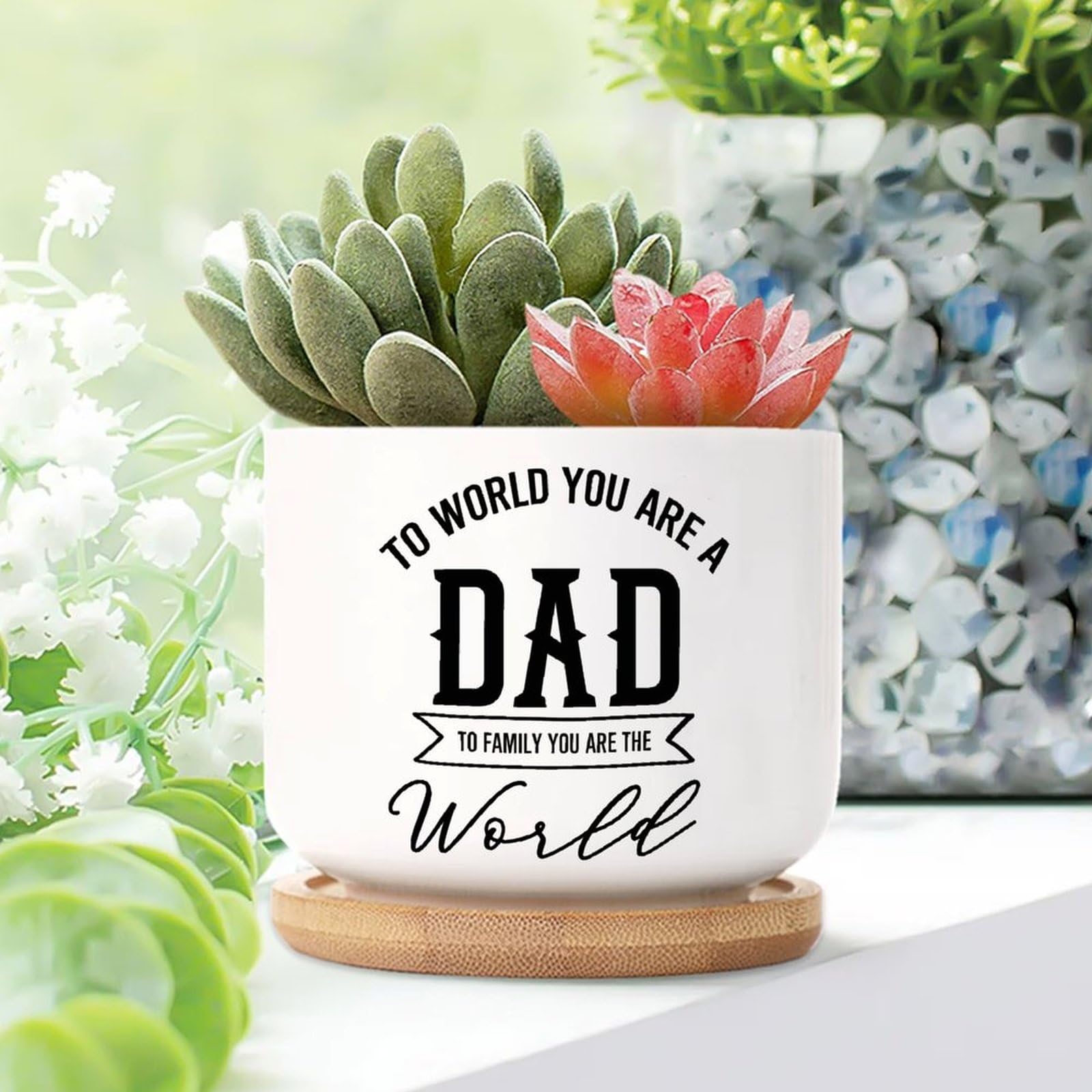 Yelolyio Style-14 To World You Are A Dad To Family You Are World Ceramic Planters Lettering Quotes Flower Pots For Indoor Plants With Drainage Holes And Saucers Pot For Succulents Cactus Garden Windowsill