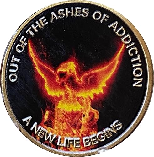 Fuera de las cenizas de la adicción comienza una nueva vida Phoenix Flames Medallón de sobriedad AA NA