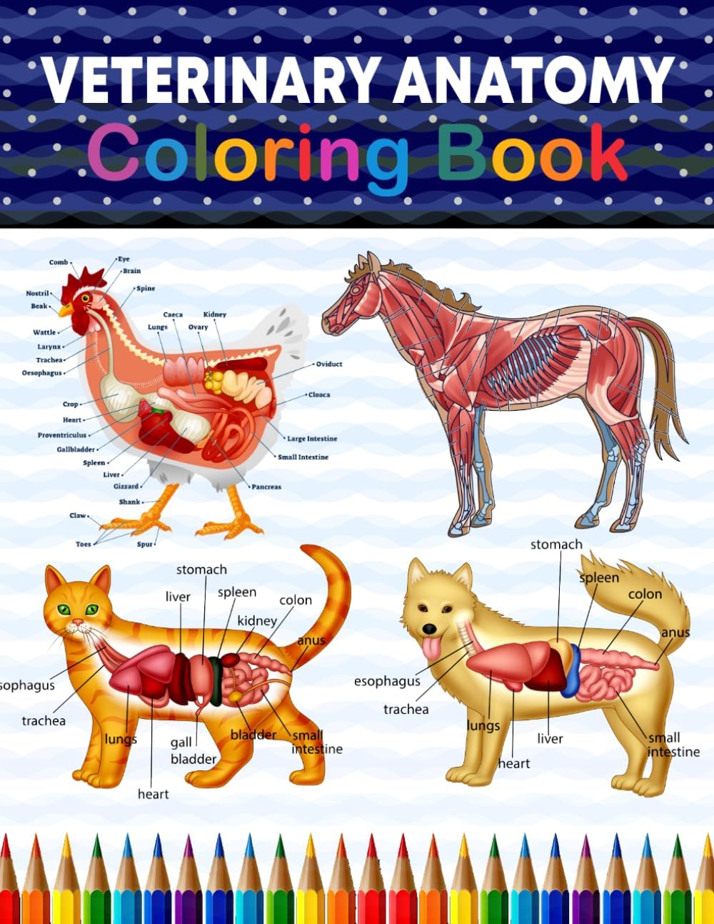 Veterinary Anatomy Coloring Book: The Anatomy Students Self Test Coloring Book. The New Surprising Magnificent Learning Structure For Veterinary ... gift For Vet Students and even Adults.
