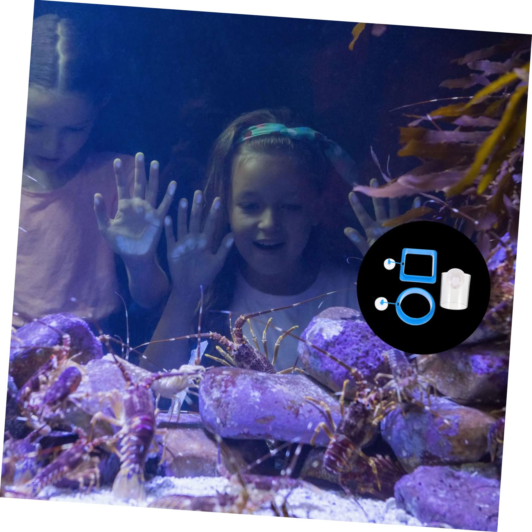 CIYODO 3pcs Acrylic Fish Feeding Ring Floating Fish Feeder for Aquarium Betta Tank