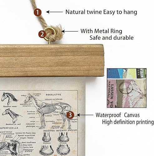 Miniatura 143 de XIAOAIKA Póster de botánica vintage con marco de madera, tabla de plantas venenosas antiguas, arte educativo botánico con especies peligrosas, 1