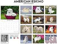 Vista 1308 de Razas de Perros 2017