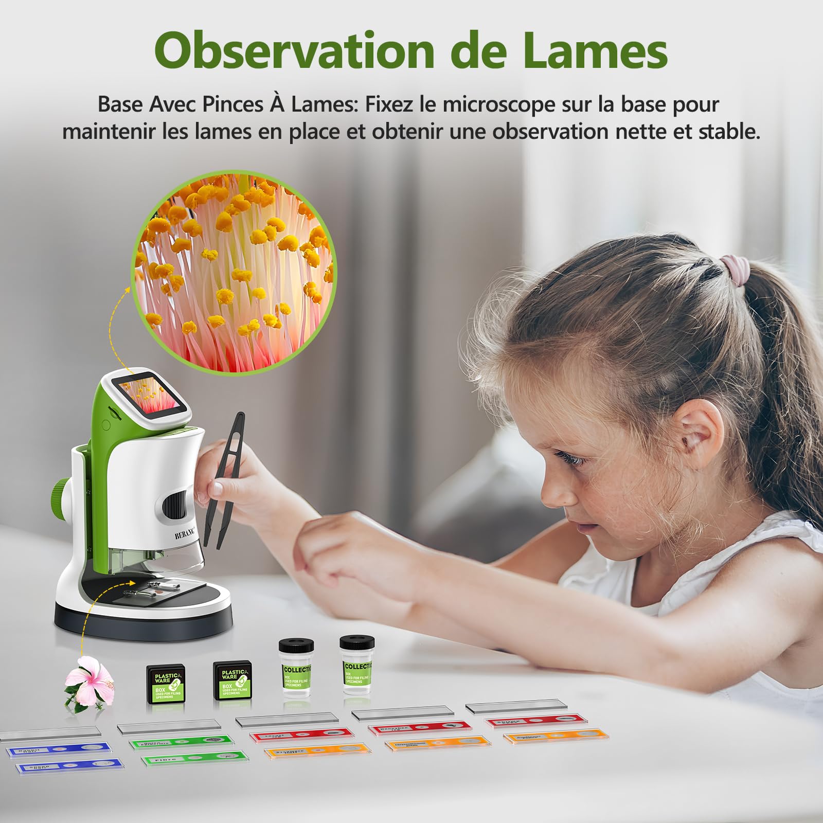 Microscope Numérique Portable de Poche pour Enfant, Mini Scope Détachable HD 4K 2" Écran Cadeau Noël Garçons Filles Jouet Éducatif STEM Kit d'expériences Scientifiques avec Lames et Carte 32G