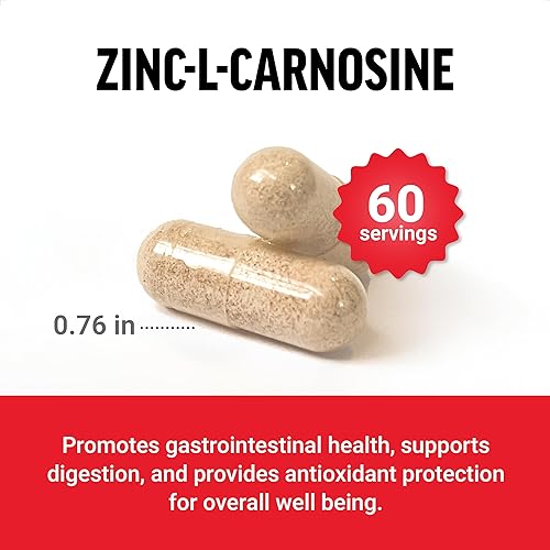 Miniatura 3 de FORCE FACTOR Cápsulas de zinc L-carnosina para apoyar la salud gástrica y digestiva, suplemento para la digestión y la hinchazón, vegano, sin OMG,
