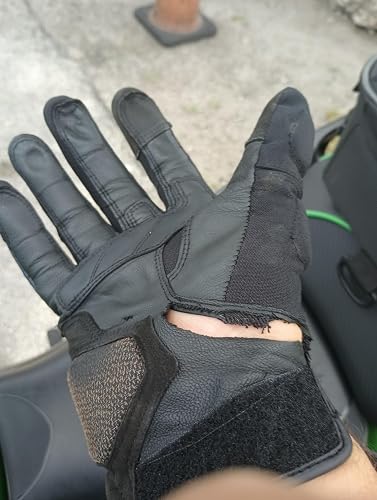 Review Image by B767 driver