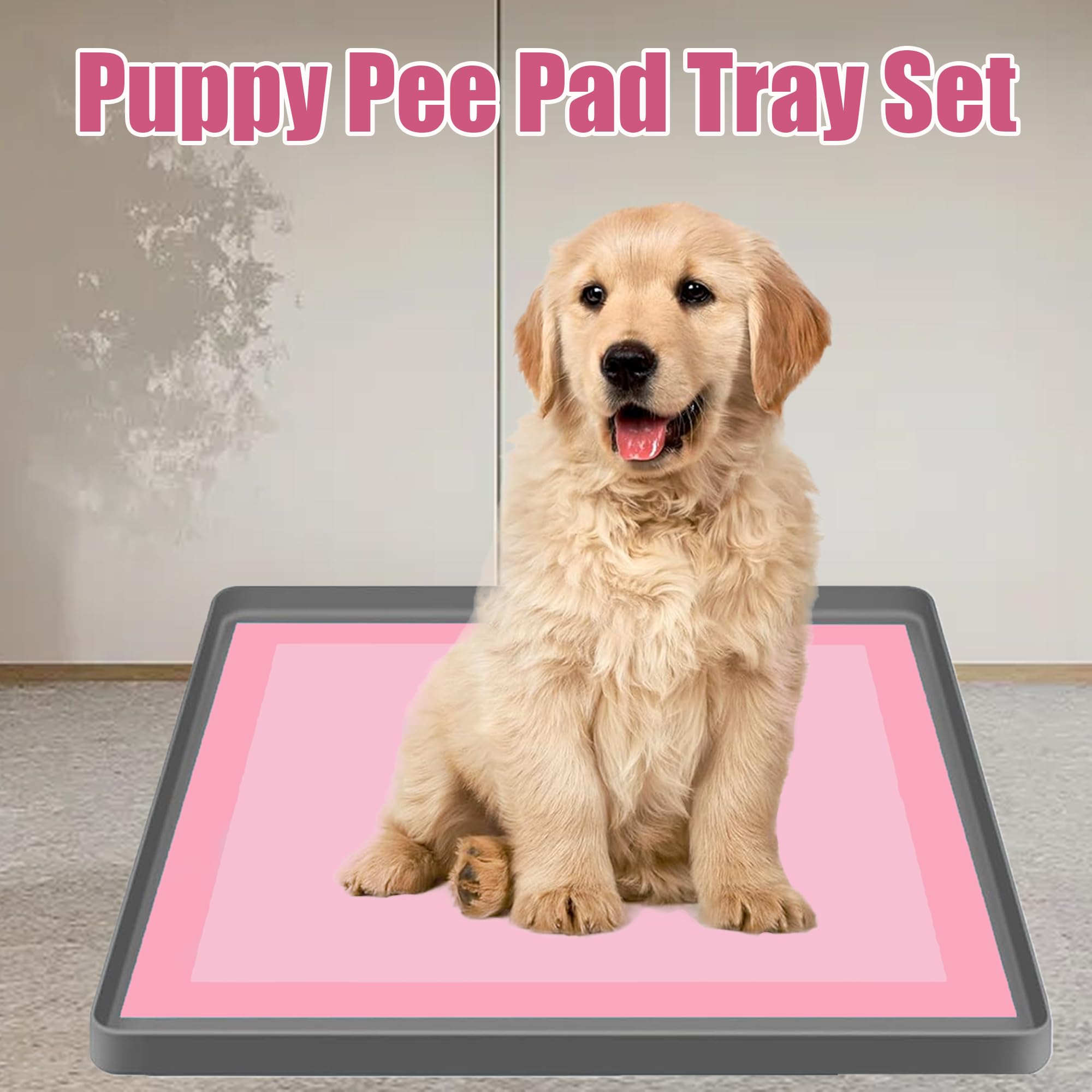 Puppy Pee Pad Tray Halter Set für Hunde, rutschfeste Silikon Hund Pee Pad, Multifunktionale Staubdichte wasserdichte, Easy Cleaning Pee Pad Tray Mit,Praktische Dinge Zu Hause