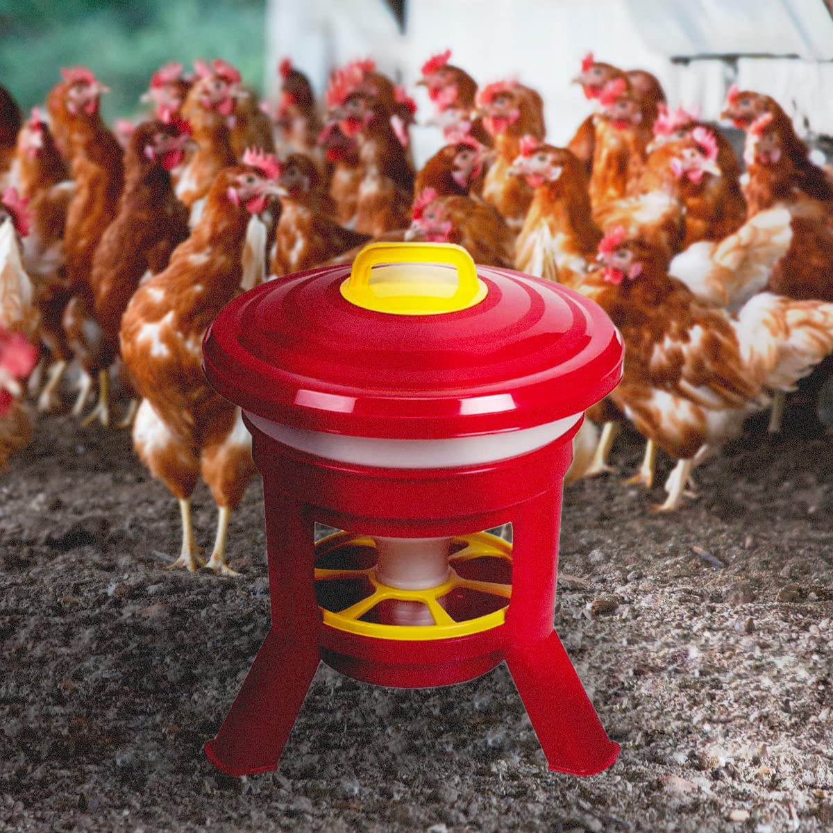 FINCA CASAREJO Tolva Gallinas SILO Premium 20Litros - Comedero con Patas para Gallinas y Otras Aves de Corral - Tolva Fabricada en plástico Resistente