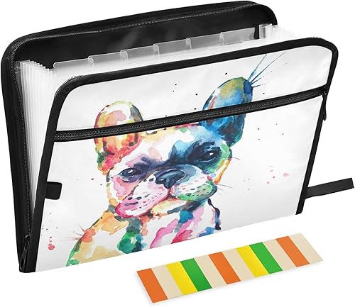 ALAZA Carpeta de archivo expandible de 13 bolsillos con etiquetas, carpeta de archivos de acordeón, organizador de archivos de letras A4, papel para