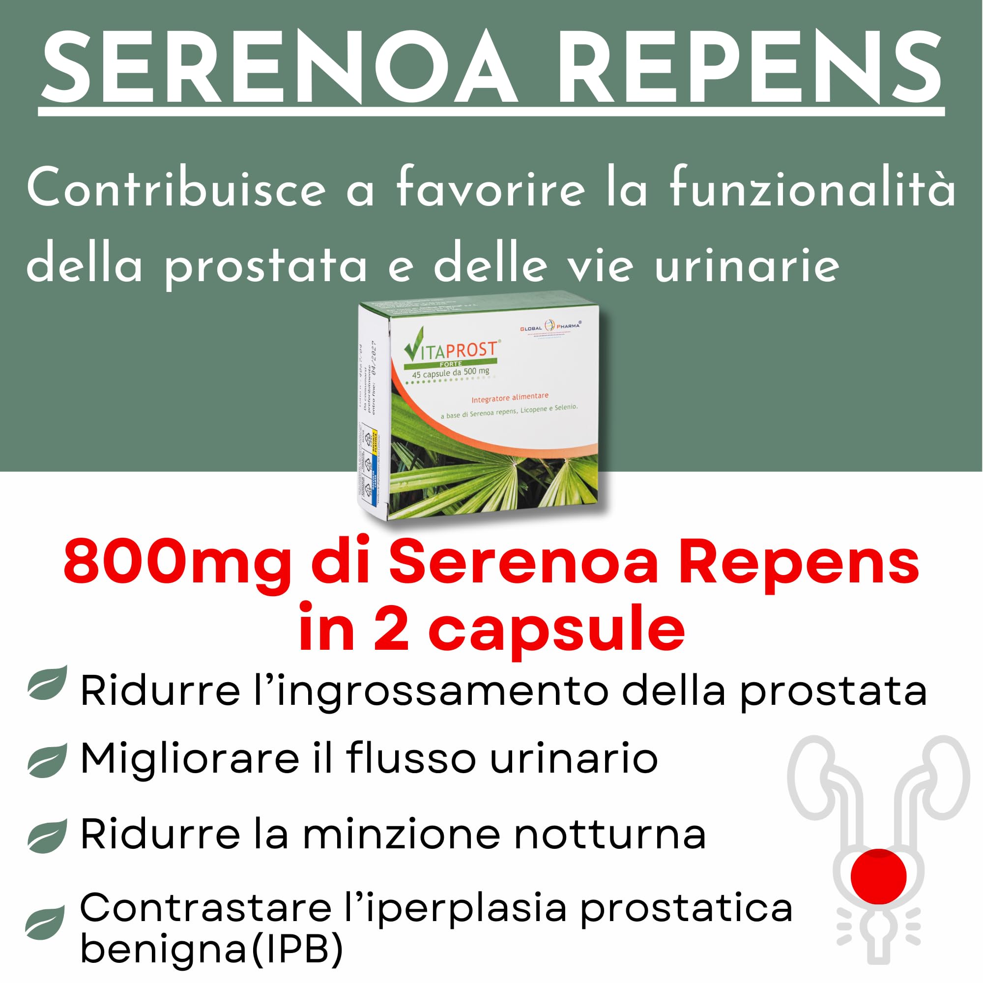 Integratore prostata 800mg SERENOA REPENS | Saw Palmetto Licopene e Selenio Integratore per la Prostata e Vie Urinarie Uomo 45 Capsule VITAPROST FORTE Global Pharma
