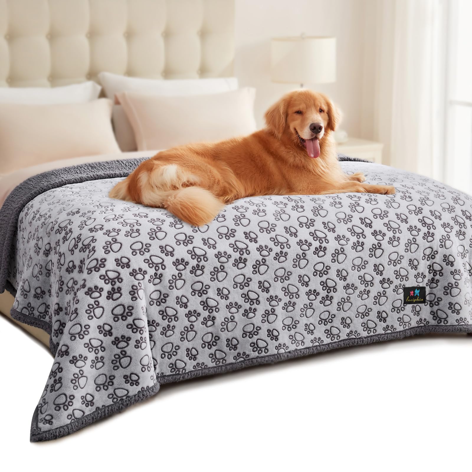 Luciphia Waterproof Blanket