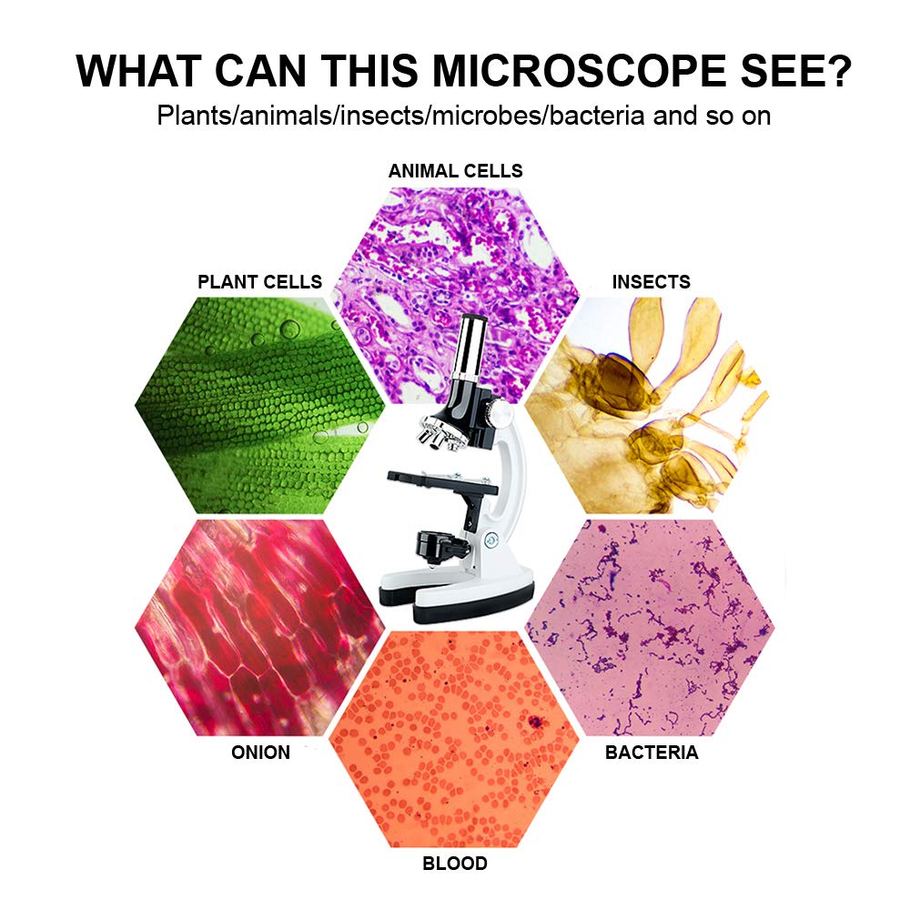 hi!SCI Microscope Kit for Kids 812 100X1200X 52Pieces Student