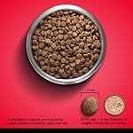 Zoe Grain Free Dog Food, All Breeds, Beef with Peas & Pumpkin, 5 kg