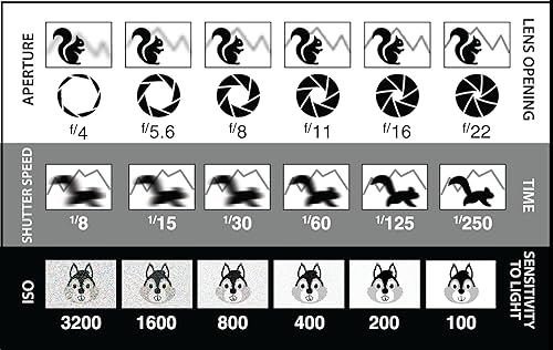 Miniatura 6 de (Paquete de 2) Tarjetas de referencia de fotografía DSLR/sin espejo del tamaño de tarjeta de crédito que caben en bolsillo/cartera/bolsa de cámara.