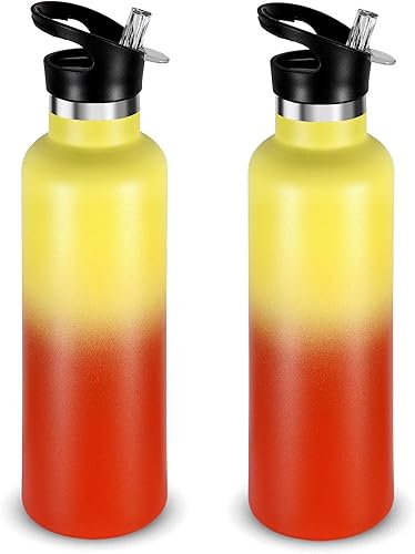 Neihepal Botellas de agua aisladas de 24 onzas a granel, paquete de 2 botellas deportivas de doble pared de acero inoxidable con tapa con pajilla,