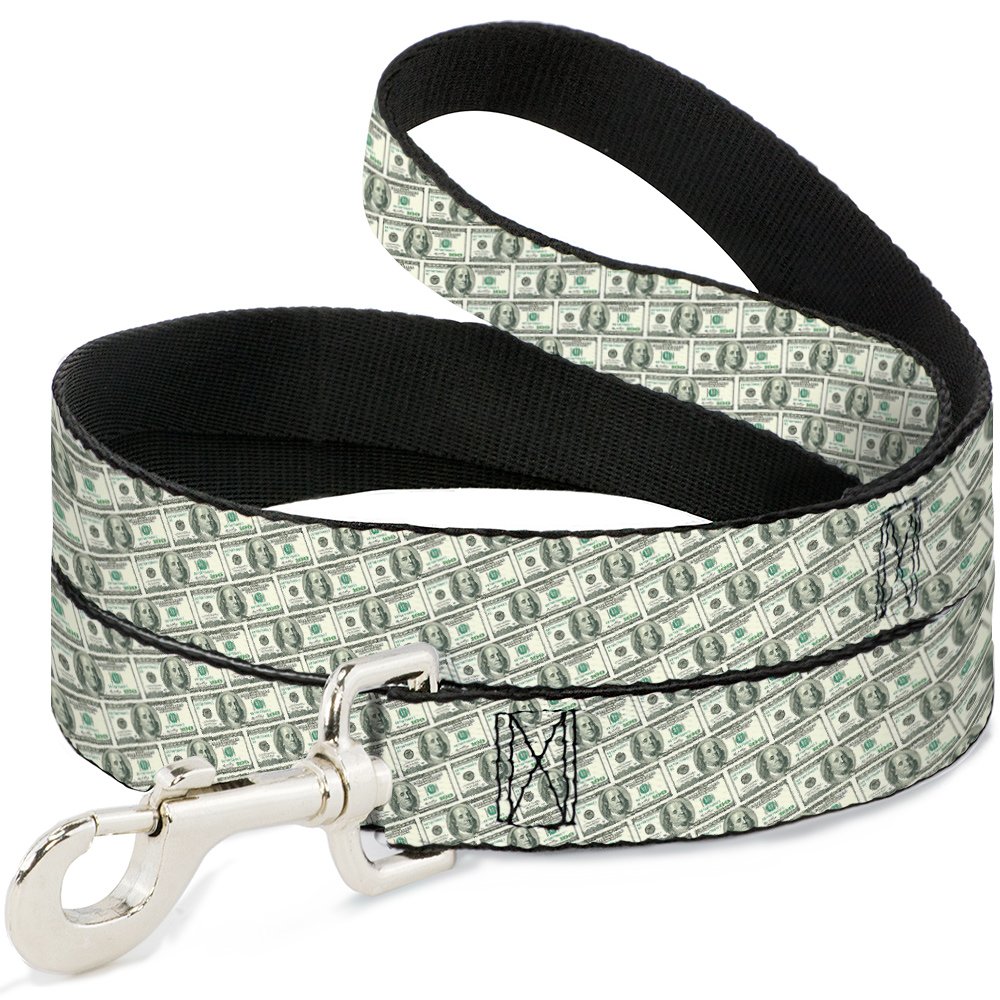 Laisse Buckle Down 100 Dollar Bill pour résoudre les problèmes de traction de votre animal