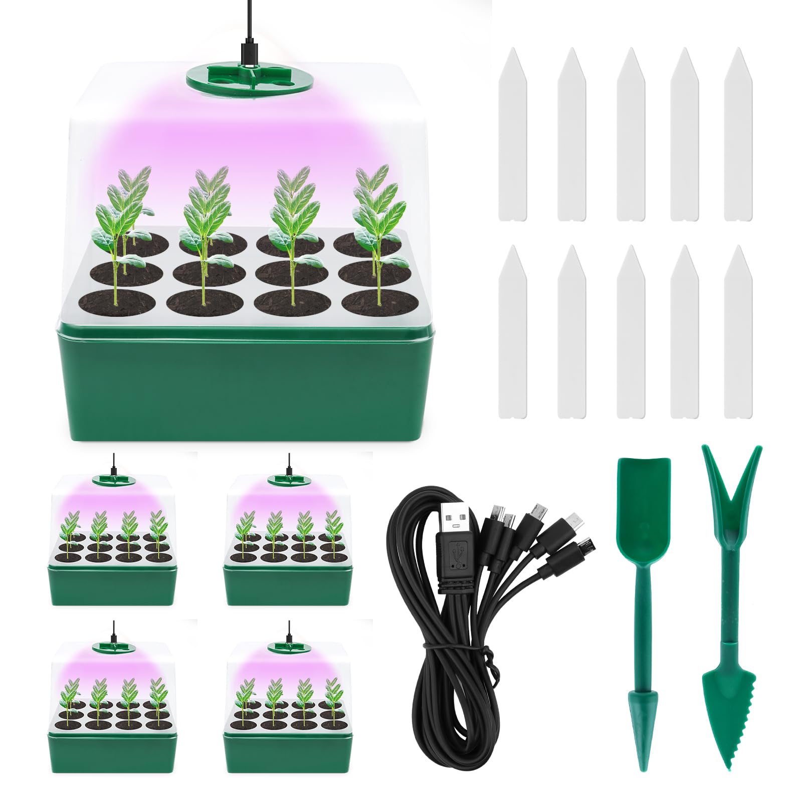 5 Pezzi Vassoi per Germinazione, Mini Serra Germinazione, Vassoi per Semi con Luce di Coltivazione, Semenzaio Propagatore Semi con Coperchi Alto con 10 Etichette, 2 Strumenti per Piante da Semina