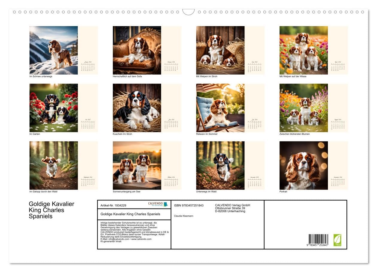 Goldige Kavalier King Charles Spaniels (Wandkalender 2026 DIN A2 quer), CALVENDO Monatskalender: Freundlicher Familien- und Seniorenhund (CALVENDO Tiere)