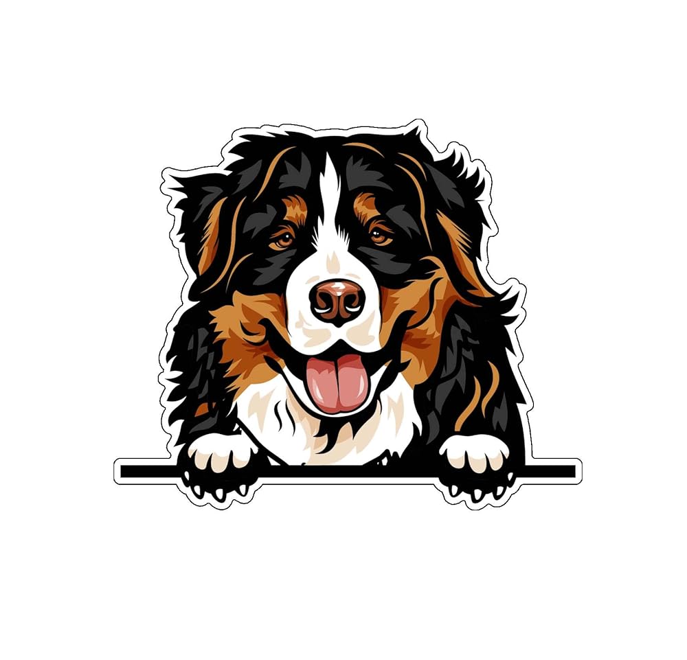 30 Best Gifts for a Bernese Mountain Dog Owner - iHeartDogs.com 30 71us2eQf4AL. SL1000
