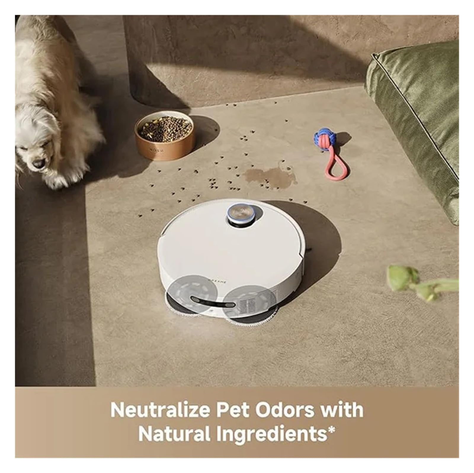Solución De Limpieza por Aspiradora Robot, Solución For Olores De Mascotas, Ingredientes Naturales Seguros Y Suaves A Base De Plantas 1L 200ML(1L)